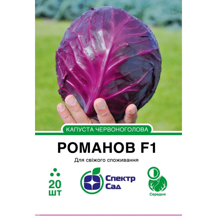 Капуста червоноголова Романов F1 20 насінин СПЕКТР